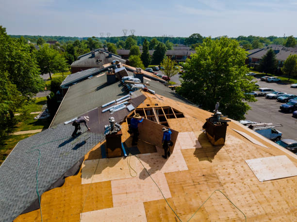 Trusted Storm Damage Roof Repair service in Charleston, TN - Brentwood Metal Roofing